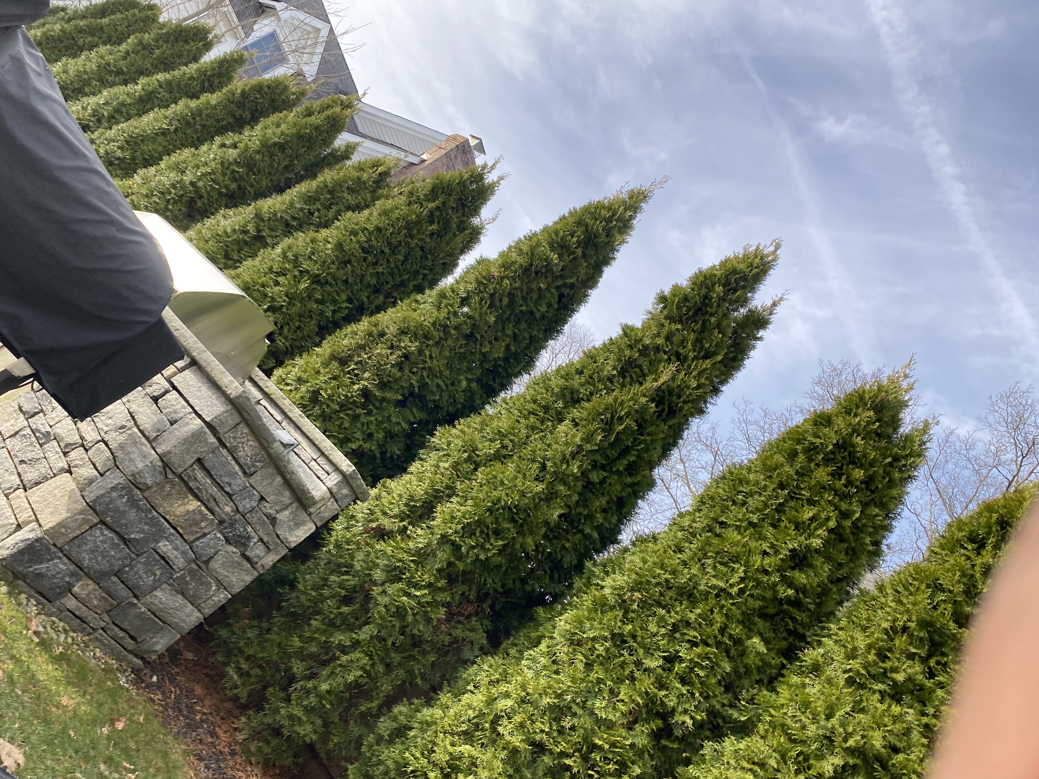 Landscaping Project
