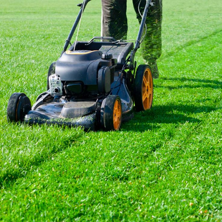 Lawn Mowing